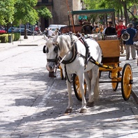 Photo de Espagne - Séville